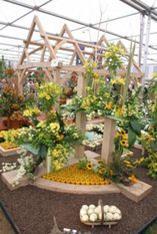 The displays at Chelsea flower show are famous worldwide