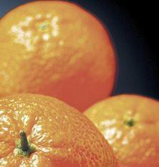 The move will give Cool Fresh seamless 12-month supply of oranges
