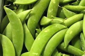 Peru sugar snap peas dakin Japan landscape