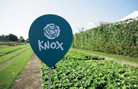 Knox demo field