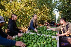 Delcado Harvest West Australia CREDIT Delroy