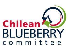 Chilean Blueberry Committee