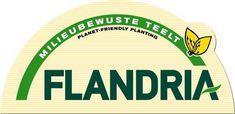 Flandria is largest quality mark for fresh vegetables in Europe