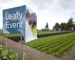 Rijk Zwaan Leafy Event