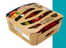 FR Prince de Bretagne tomatoes cardboard tray