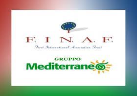 Finaf merger Grupo Meditarraneo