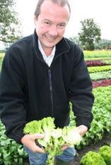 Steven Ball, raw material technician for Hazeldene, with multileaf lettuce at the Lathom trial