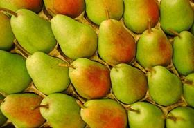 French pears