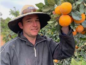Ben Wilson Gol Gol grower citrus australia landscape