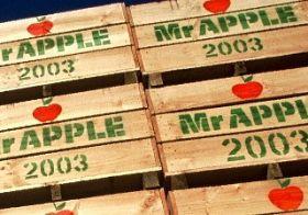 Mr Apple crates