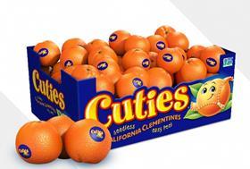 Cuties mandarins