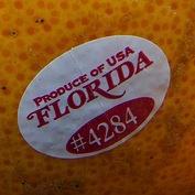 Florida citrus grapefruit label