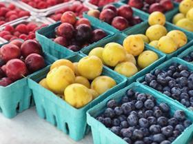 Mixed fresh fruits in cartons