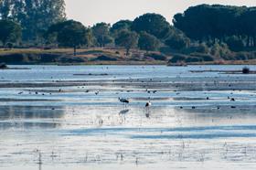 Doñana National Park