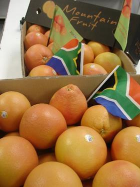 SA organic grapefruit