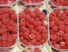 Raspberries 'can reduce existing cancers'