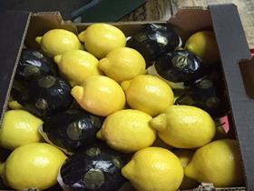 AgriNaturelle lemons