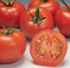 Tomato growers unite