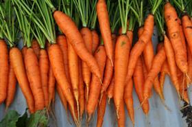 carrots organic