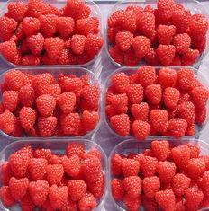 New raspberries launched