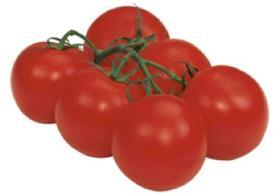 Dutch tomatoes