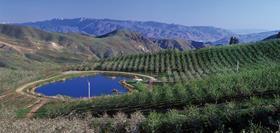 WA JO Sims Cherries Over the Ridge orchard