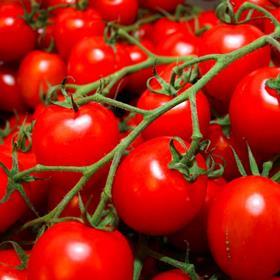 Tomatoes generic