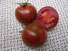 Tiger tomatoes, new from Agrexco