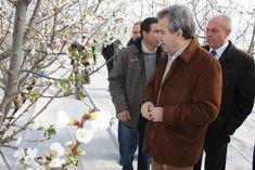 Cerdá examines early cherry blossom