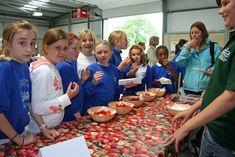 MFSS connects kids with countryside
