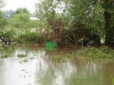 Tesco and Asda support for growers floods in