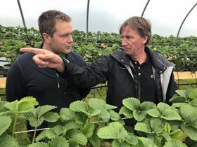 PÃ¥l Westby (right) with 25-year-old Cumbrian vegetable grower Robert Innes, who farms way north of the Arctic Circle and is now trialling his first-ever strawberry crop