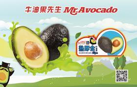 Mr Avocado Aldi China avocado launch