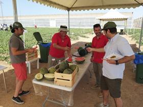 Nunhems melons event June 2019