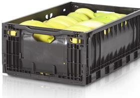 IFCO banana crate