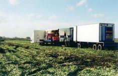 Redpack flow wrapping machinery goes to work in a field