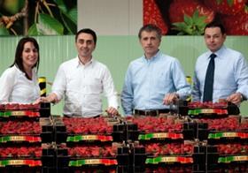 Solarelli team 2010