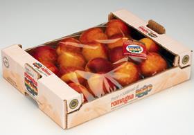 PGI Romagna peaches Italy