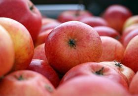 Copyright Frugan Flickr Dutch apples