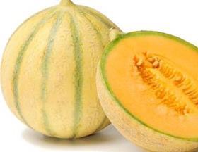 charentais melon