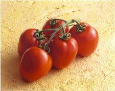Belgians celebrate tomato success