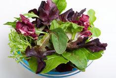 Leafy salads suffer delays