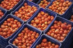 Spanish produce exports strengthen