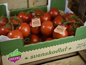 Greenfood Iberica Daily Greens brand tomatoes