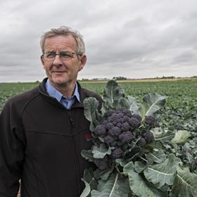 Dave Clay, Brassica Crop Manager at Elsoms Seeds