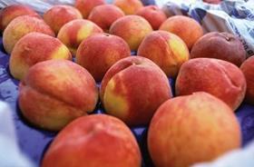 Chile stonefruit peaches