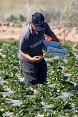Agriculture workers set for wage increase