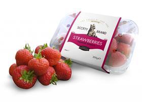 Strawberries new design mock-up 060312 (2)