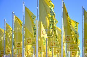 Fruit Logistica flags