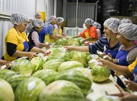 Fyffes global gender equality programme women packing melons